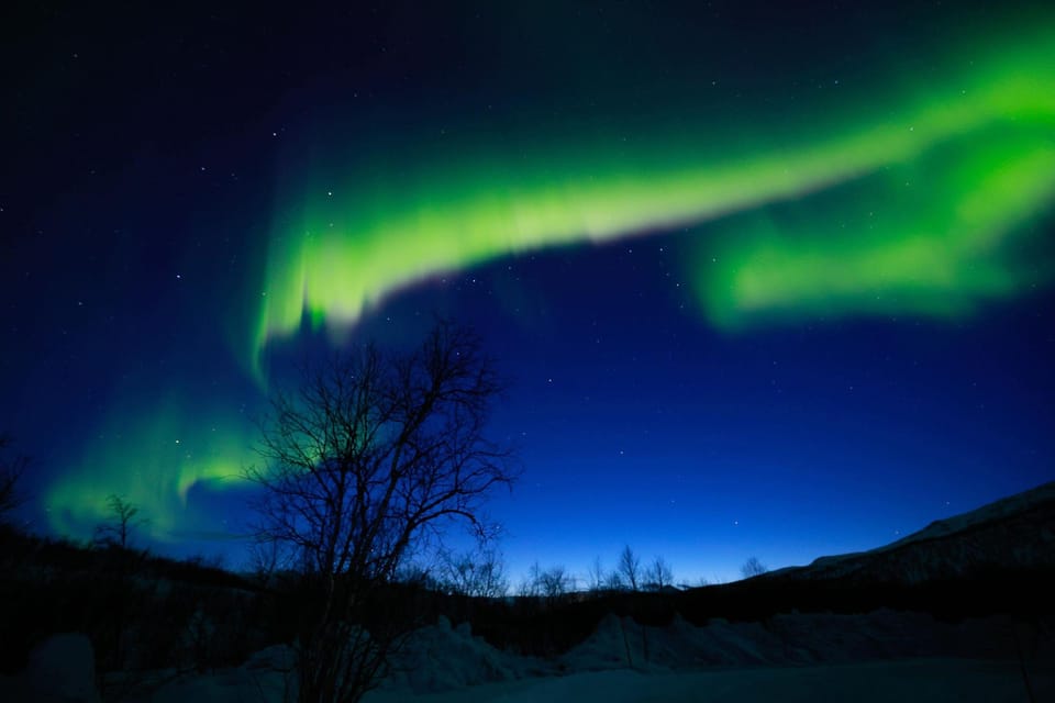 Tromsø: Northern Lights Tour With Photography (Chinese) - Visibility Guarantee