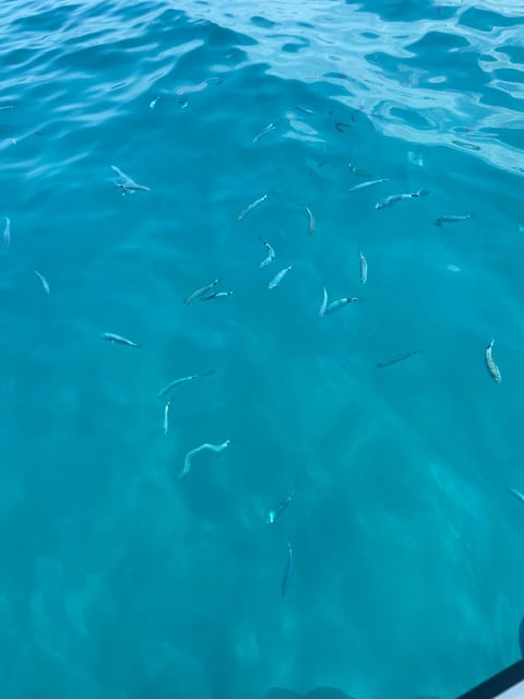 Tropea: Max 9 People Nice Tour From Tropea to Capo Vaticano - Starting Location