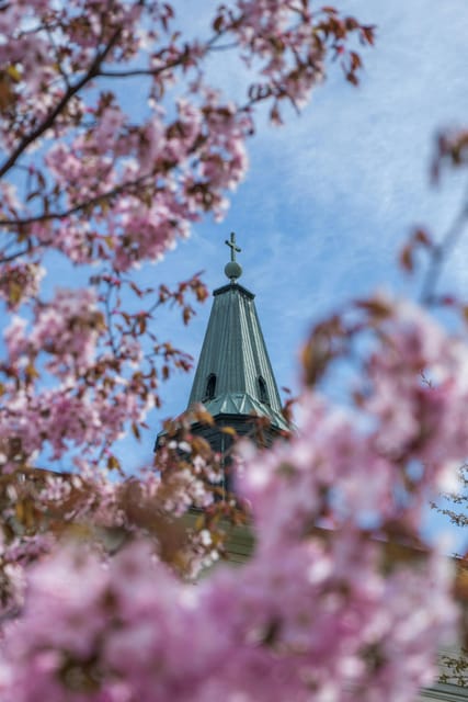 Turku: Private Guided Tour - Booking and Cancellation Policy
