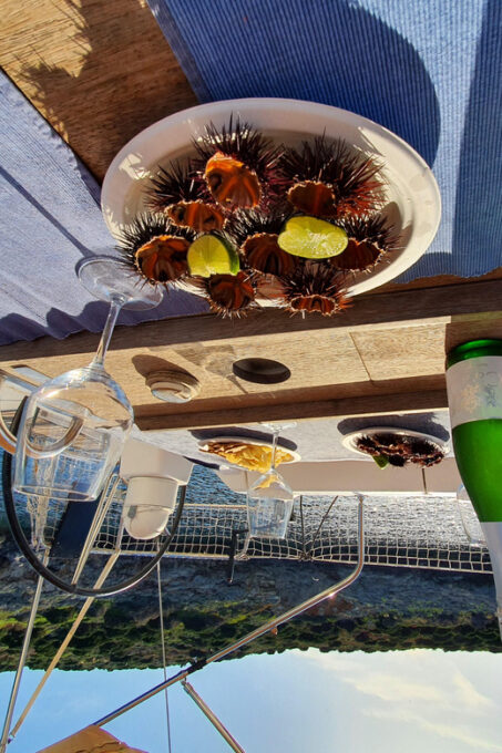 Tuscany: Argentario Archipelago Sailing Day Trip - Preparation Tips
