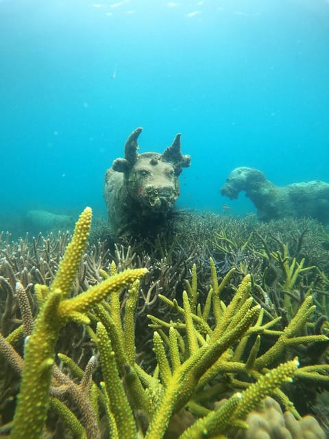 Two Fun Dives in Koh Kood or Koh Rang Marine Park - Dive Equipment and Rental