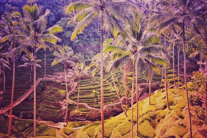 Ubud Customizable Tours Swing, Waterfall and Temple - Accessibility Considerations