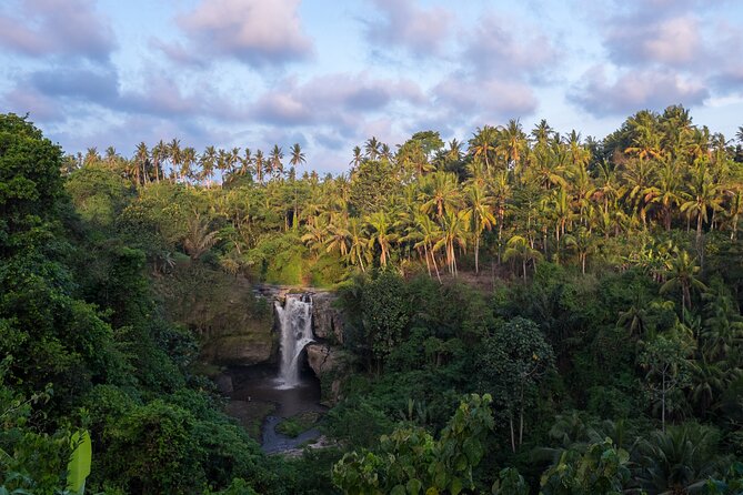 Ubud Waterfall, Rice Terraces, and Swing Explore - Customer Reviews and Feedback