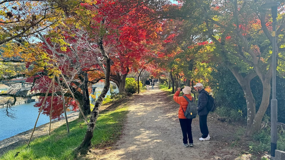 Uji & Fushimi Inari Adventure: Tea, Temples, and Torii Gates - Additional Options and Inclusions