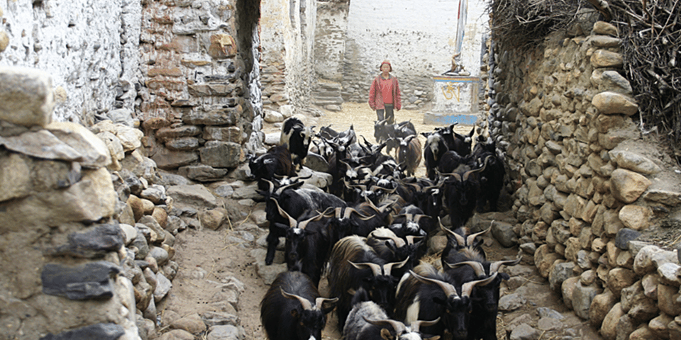 Upper Mustang Jeep Tour - Frequently Asked Questions