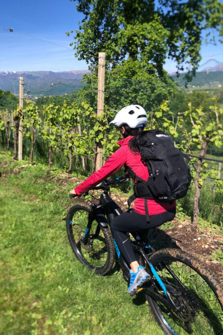 Valdobbiadene: Bike Rental and Prosecco Tasting - Booking and Cancellation Policy