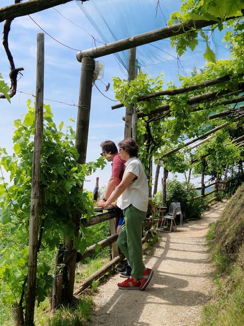 Valdobbiadene: Prosecco Express Wine Tasting and E-Bike Tour - Exploring Historic Cellars