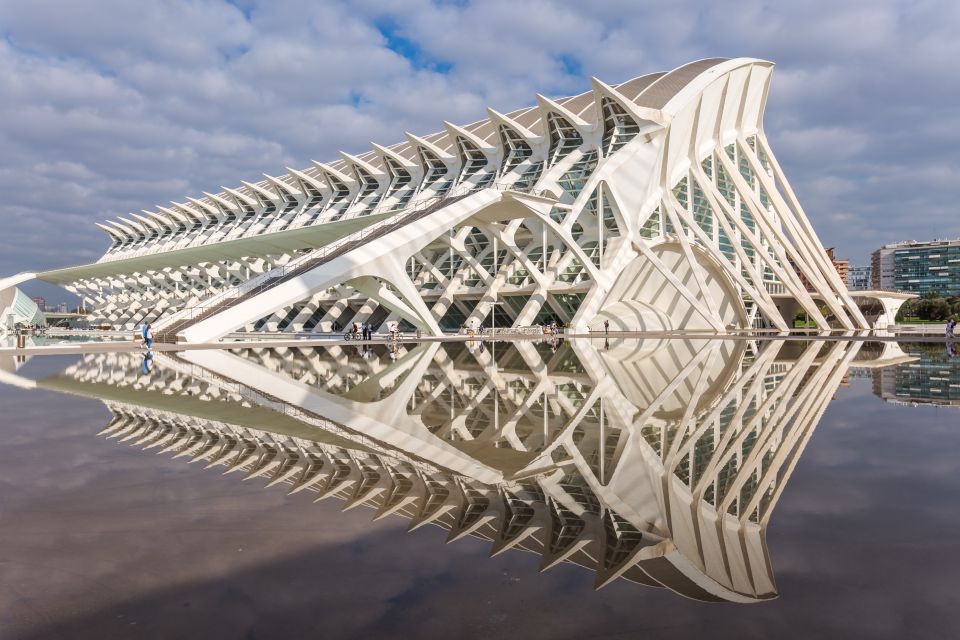 Valencia: Oceanografic, Hemisferic & Science Museum Combos - Booking and Visit Guidelines