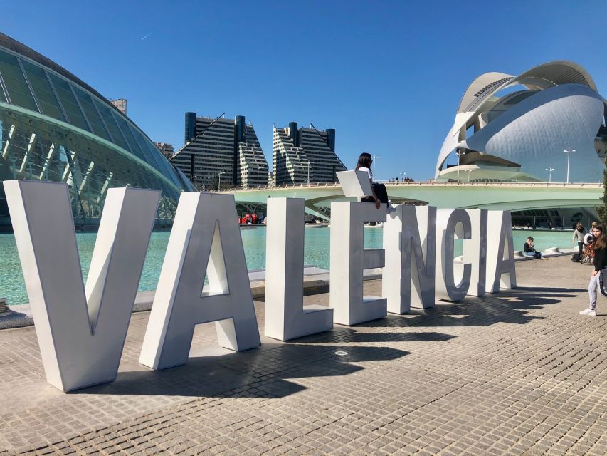 Valencia: Private Half-Day Tour by Car - Pickup and Accessibility