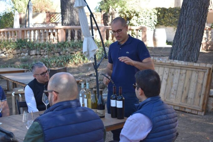 Valencia: Utiel-Requena Cave & Winery Day Trip With Tasting - Accessibility and Language Options