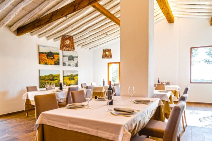 Valencia: Winery Visit With Vineyard Tour & Wine Tasting - Winery Visit and Vermouths