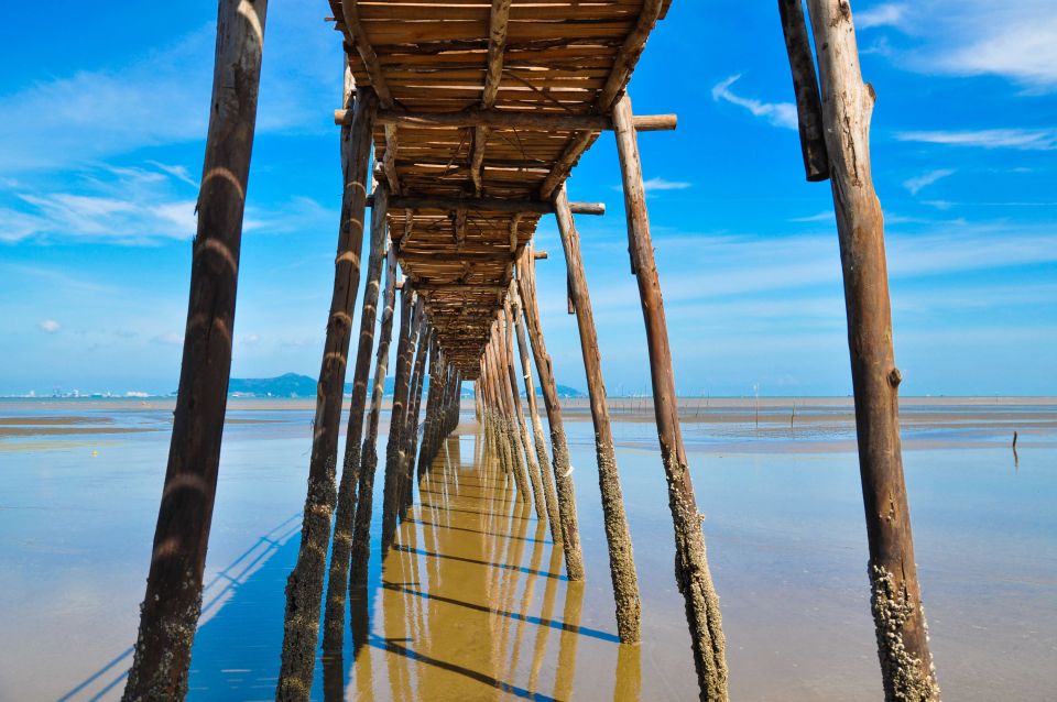 Vam Sat Mangrove Forest Private Tour From Ho Chi Minh City - What to Bring on the Tour