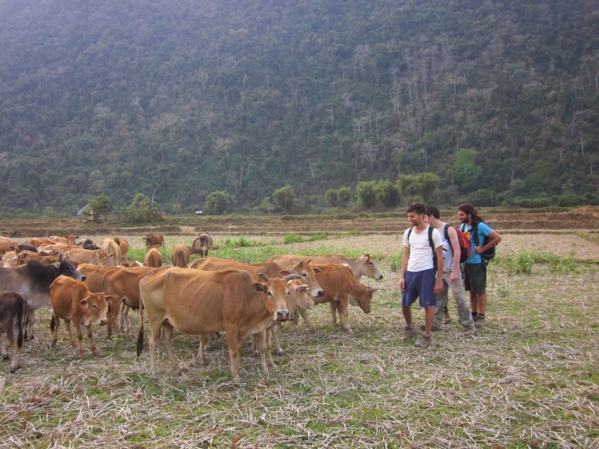 Vang Vieng: Jungle & Caves Full-Day Private Trekking Tour - What to Bring