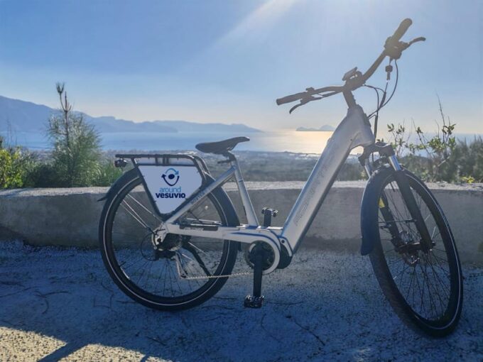 Vesuvius National Park Bike Tour - Pricing and Booking
