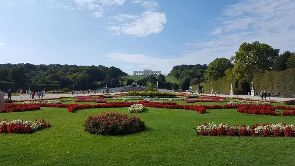 Vienna: Schönbrunn Palace and City Center Guided Tour - Accessibility Options