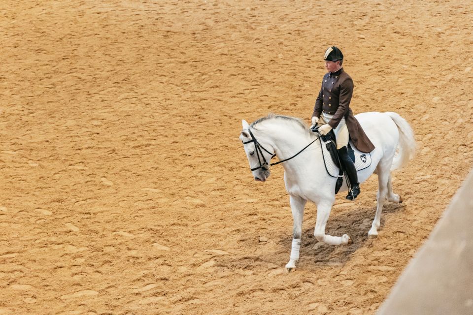 Vienna: Spanish Riding School Training - Historical Significance