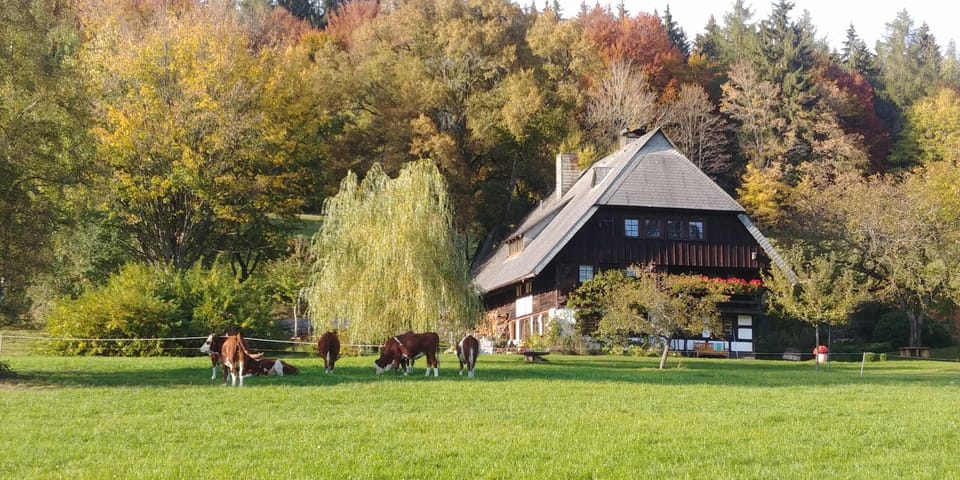 Villingen-Schwenningen: Guided Cider Tasting at the Farm - Guided Tasting by Cider Makers