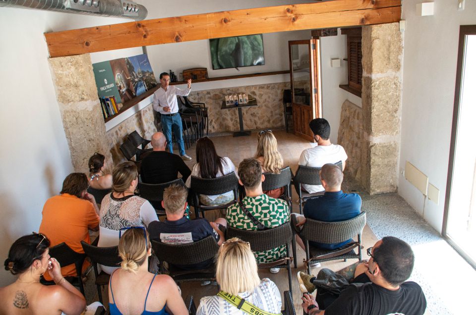 Visit of the Olive Grove, Olive Oil Tasting and Snack - Olive Grove Tour