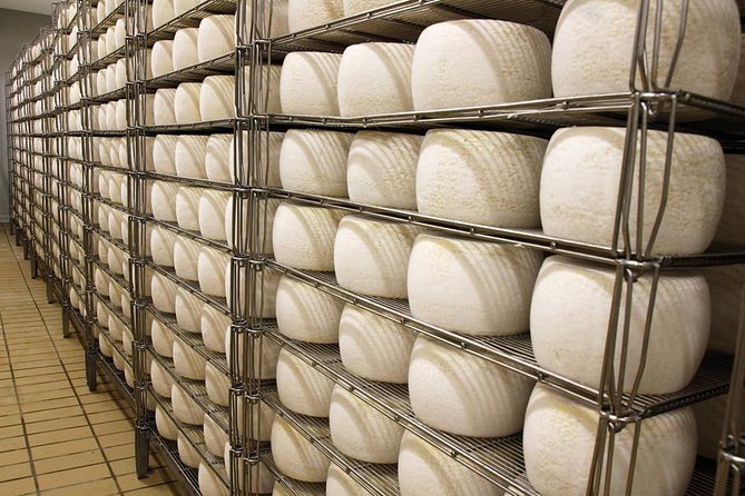 Visit to the Dairy - Accessibility and Group Size