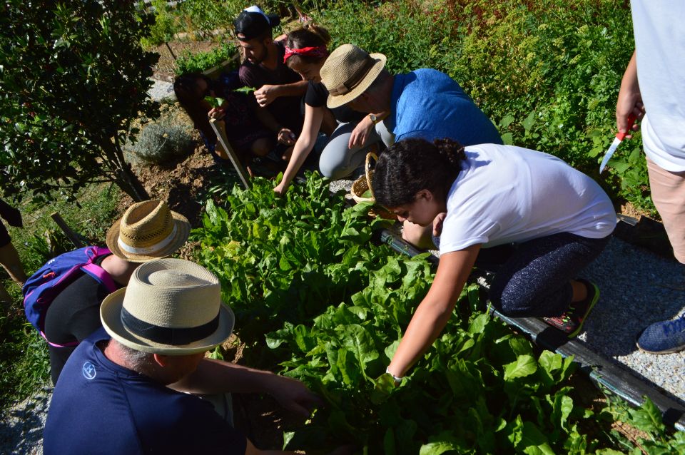 Volos: Cook Like a Local at a Greek Farm - Inclusions