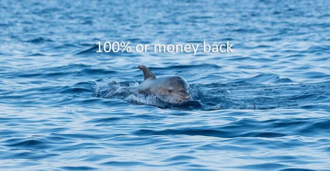 Vrsar: Dolphin-Watching Sunset Adventure With Speedboat - Sunset and Dolphin Sighting
