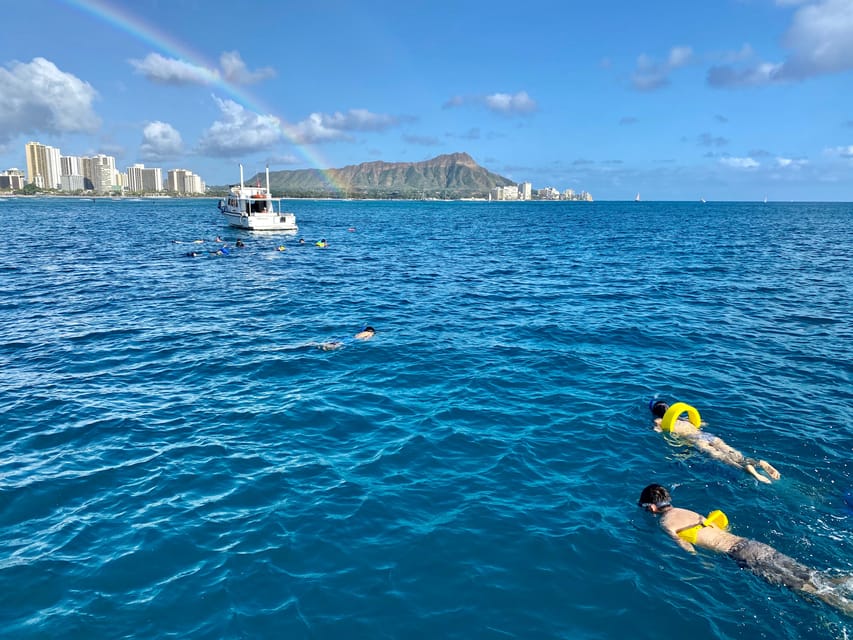 Waikiki: Sea Turtle Snorkeling, Small Group Boat Tour - Customer Reviews