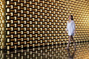 Waldorf Astoria Las Vegas - Policies and Guidelines