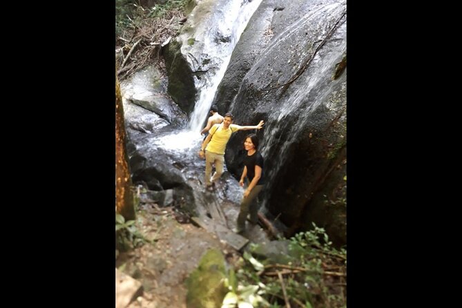 Walk to the Big Rock in Cantareira State Park: Optional Airport Pick-Up - Ecological Significance of the Park