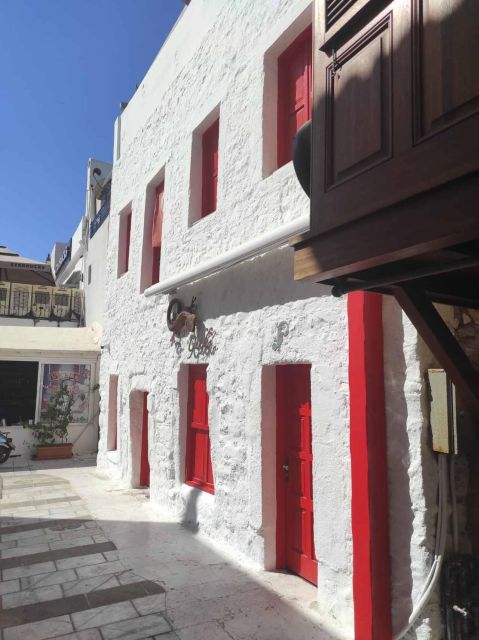 Walking Tour of Halicarnasos & Bodrum St Peters Castle - What to Expect