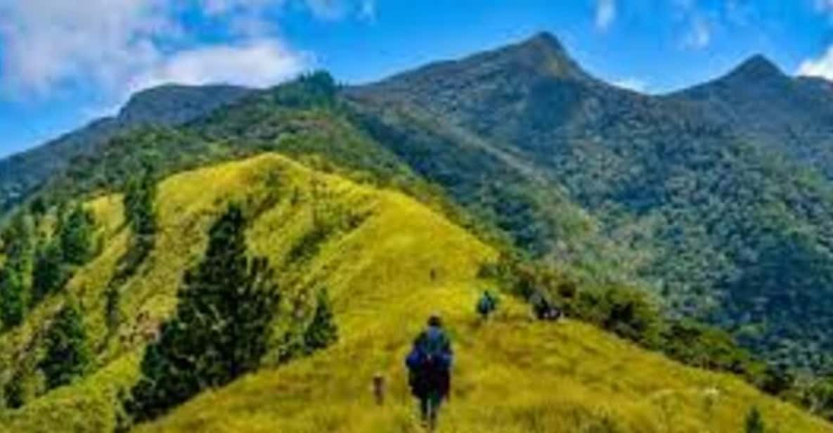 Wangedigala Mountain Hiking - Guided Tour Details