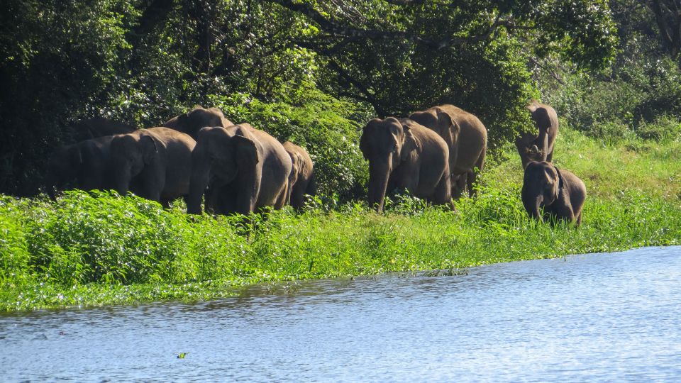 Wasgamuwa: Wasgamuwa National Park Private 3-Hour Safari - Recommended Attire and Essentials