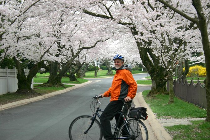 Washington DC Cherry Blossoms By Bike Tour - Best Time to Visit Cherry Blossoms