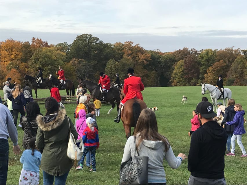 Washington DC: Mount Vernon Half-Day Tour - Participant Information