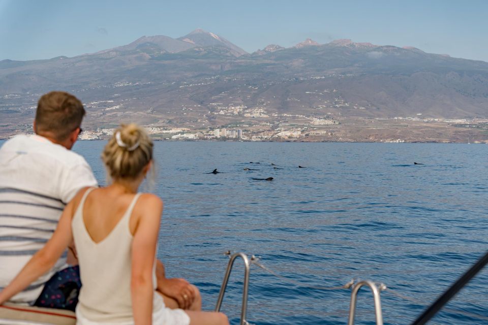 Whale and Dolphin Watching Yacht Trip in Puerto Colon - Additional Information