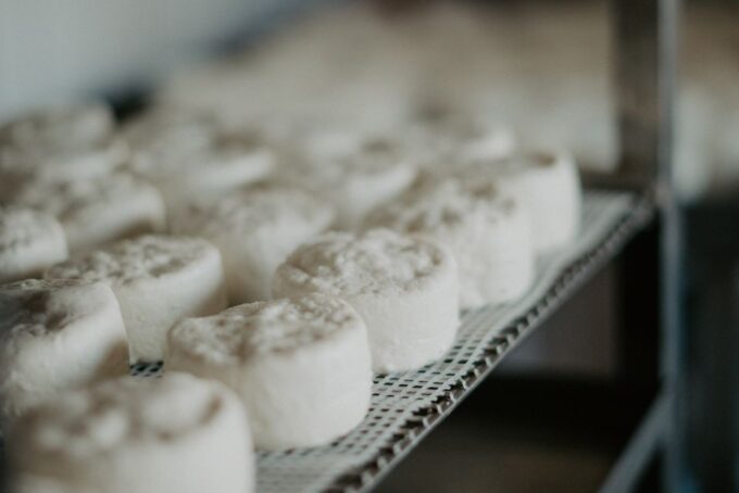 Wine and Cheese Tour Around Aix En Provence From Marseille - Tips for Participants