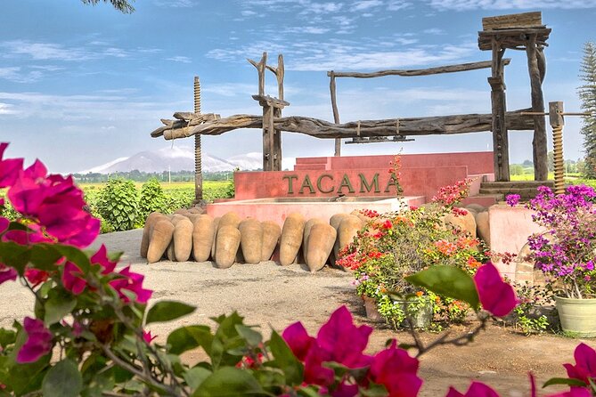 Wine and Pisco Tasting Experience by Caravedo and Tacama in Ica - Admiring the Ica Valley Vineyard