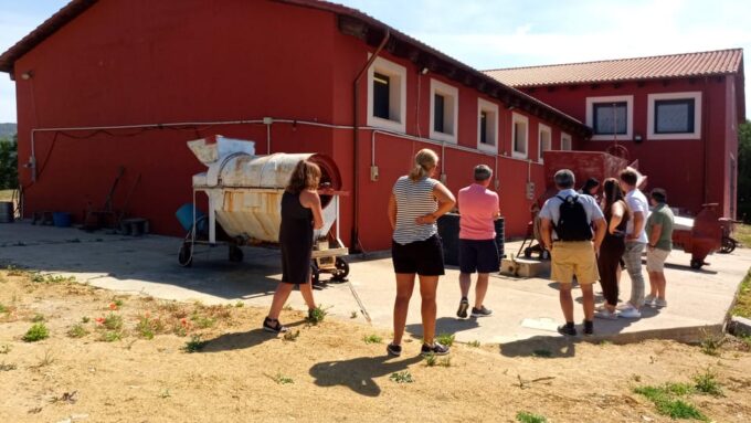 Wine Experience Around Cagliari - Transportation Options