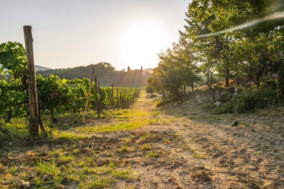 Wonderful Tuscan Wine Tour: Siena, Chianti and San Gimignano - Important Travel Tips