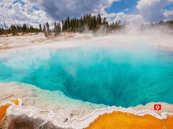 Yellowstone National Park: Unforgettable Scenic Drive Tour - Exploring Yellowstones Abundant Wildlife