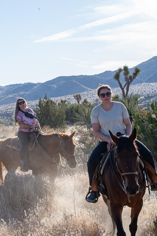 Yucca Valley: Joshua Tree National Park Horseback Ride - Safety Guidelines