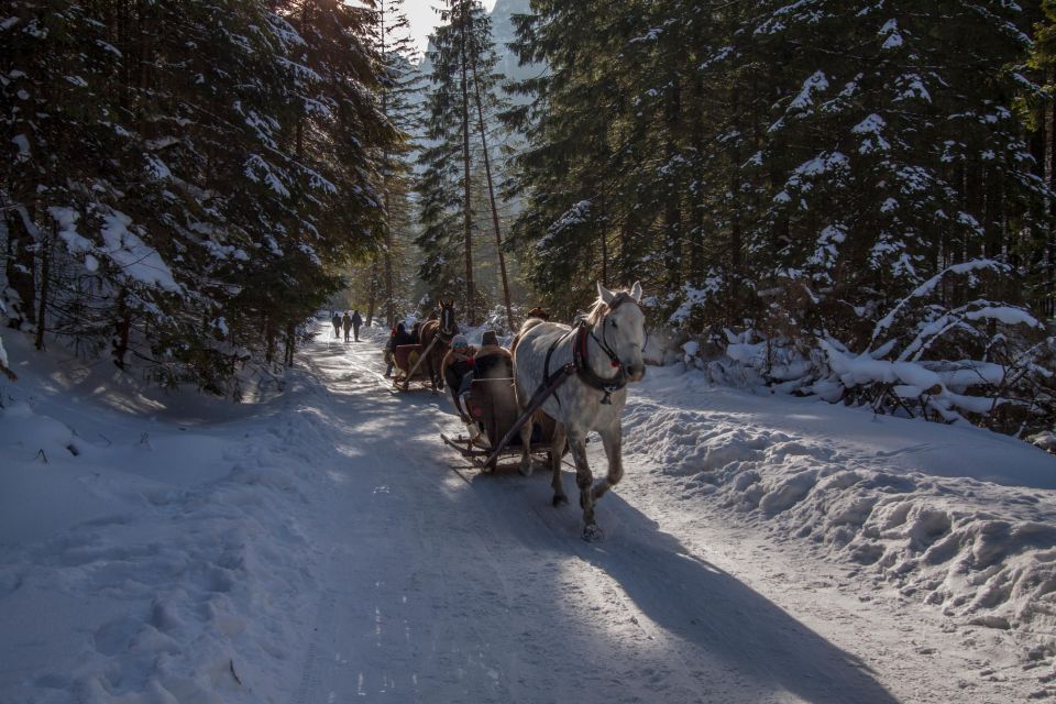 Zakopane: Horse-Drawn Rides With Local Guide & Food Tasting - Booking Details