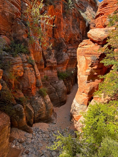 Zion National Park 5-hour Tour: Hike and Drive - Essential Requirements