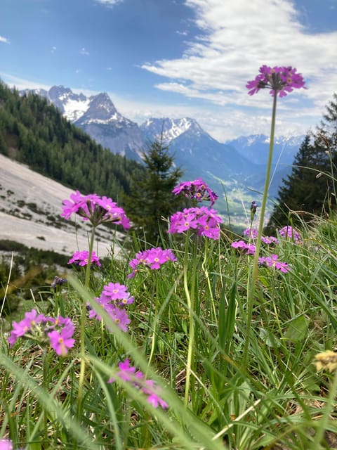 Zugspitze: Hiking Down via Gatterl to Ehrwald - Getting to the Meeting Point