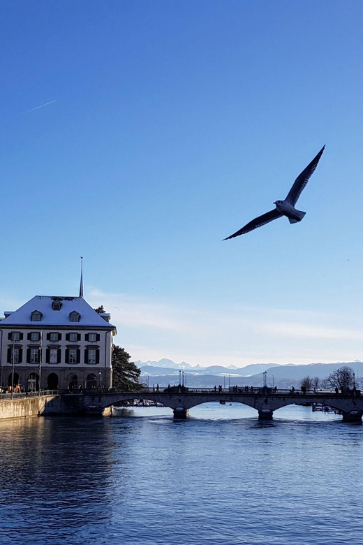 Zurich a Journey Through Time, History and the Reformation - Why Choose This Tour