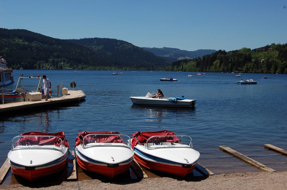 Zurich: Black Forest, Titisee, and Rhine Falls Bus Day Trip - Rhine Falls and Boat Rides