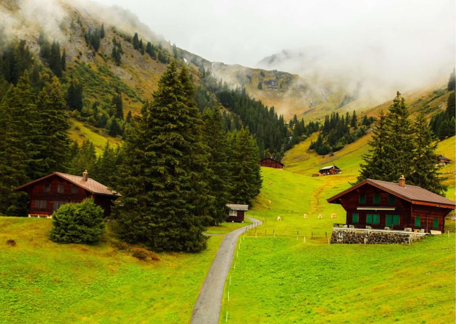 Zürich: Experience Swiss Countryside on Private Tour by Car - Booking and Cancellation Policy