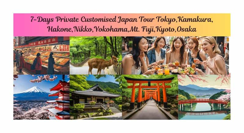 7-Day Tour Tokyo Kamakura Hakone Nikko Yokohama Fuji Kyoto - Key Points