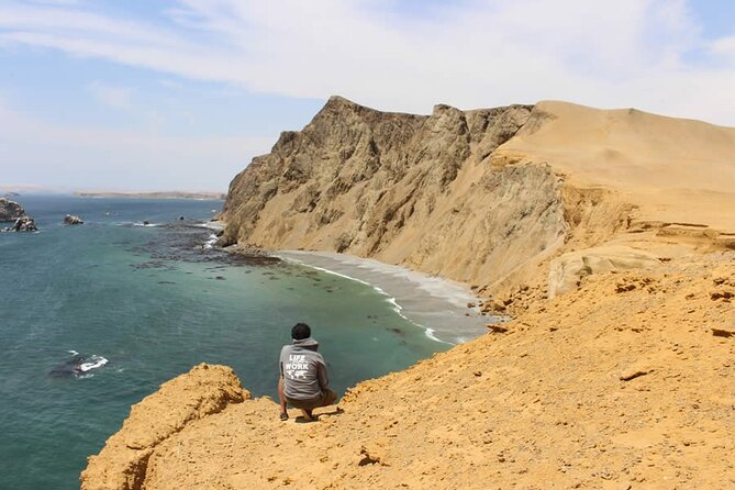 7-Hours Tour in Paracas National Reserve With Pickup - Tour Overview and Highlights