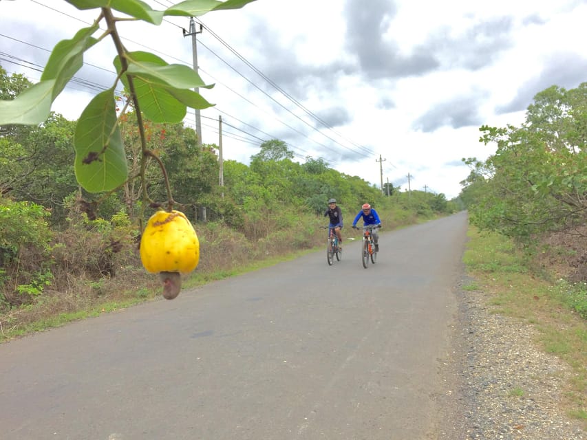 1 Day Cycling to Mui Ne From Dalat - Gear and Equipment