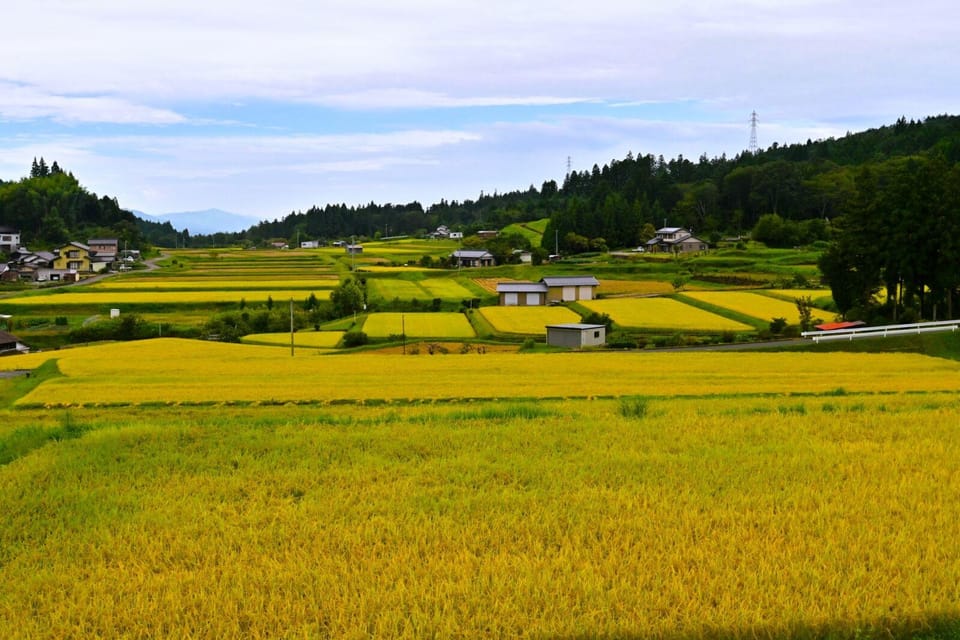 1-Day Tour From Nagoya: Hiking the Historic Nakasendo Trail - Booking and Cancellation Policy